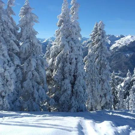 Gruber Winter Sankt Johann im Pongau