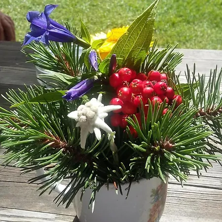 Apartment Gruber Winter *