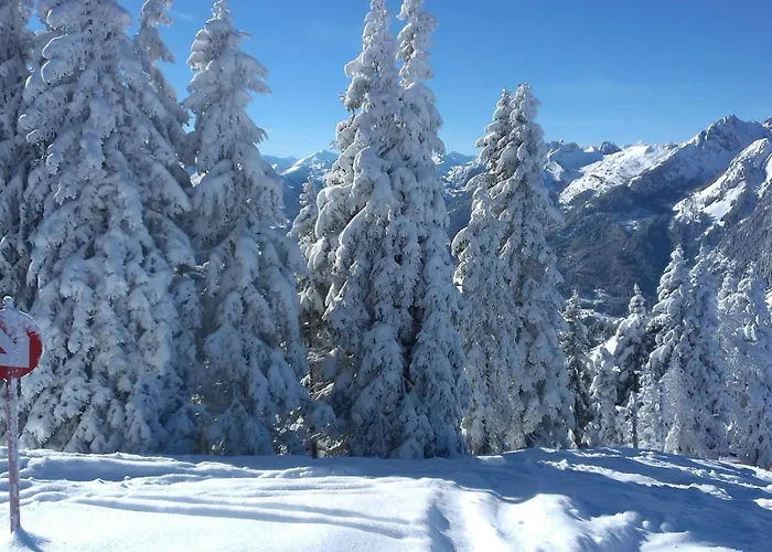 Gruber Winter 蓬高圣约翰
